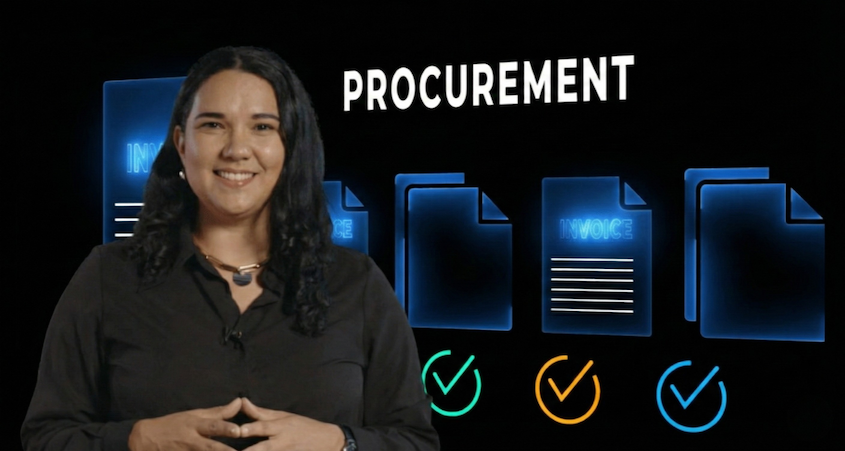 How Summus Program works